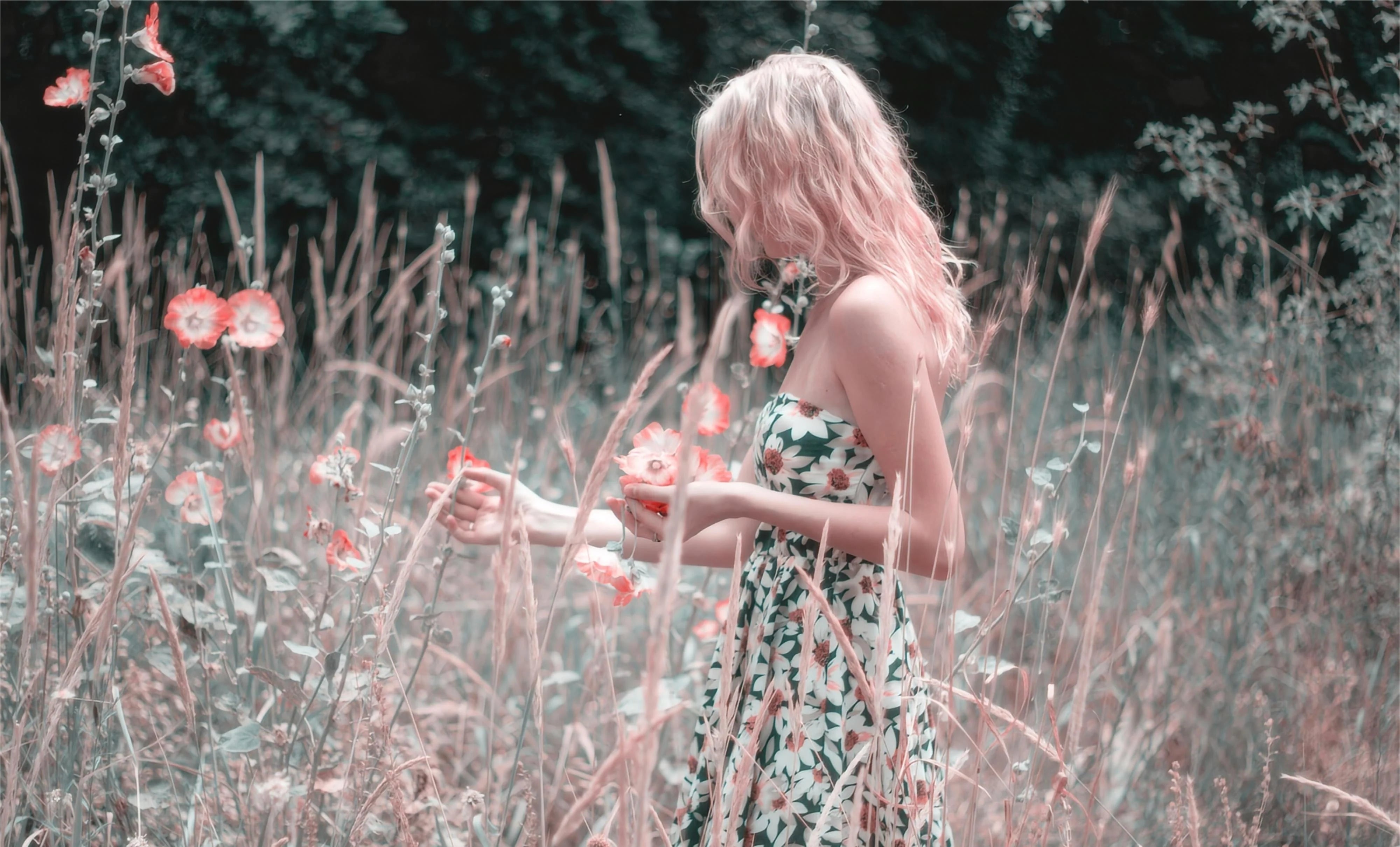 SHEVEREIGN Learn Series banner introducing guides on pleasure, care, and confidence in intimate wellbeing