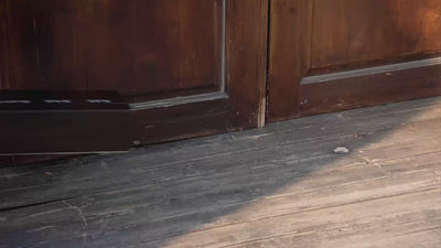 SHEVEREIGN delivery box placed at the doorstep, representing express shipping, secure packaging, and discreet customer care for the Express & Secure Delivery service